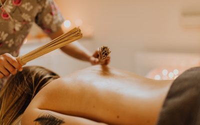 5 Key Differences Between Canine Massage Therapy and Human Massage You Didn’t Know